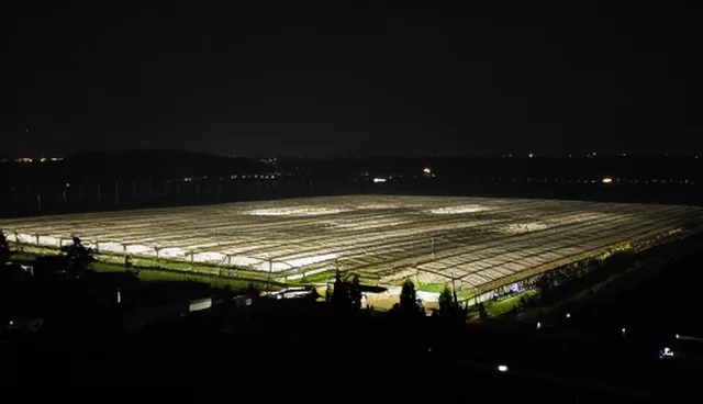 策划在管理培训中的实际应用场景分析